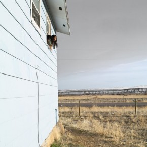 Lucas Foglia Présentation de Lucas Foglia