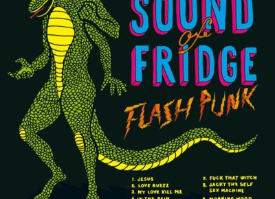 Critique musicale de The Sound of Fridge – Flash Punk (2011)