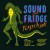 (Musique) The Sound of Fridge – Flash Punk (2011)